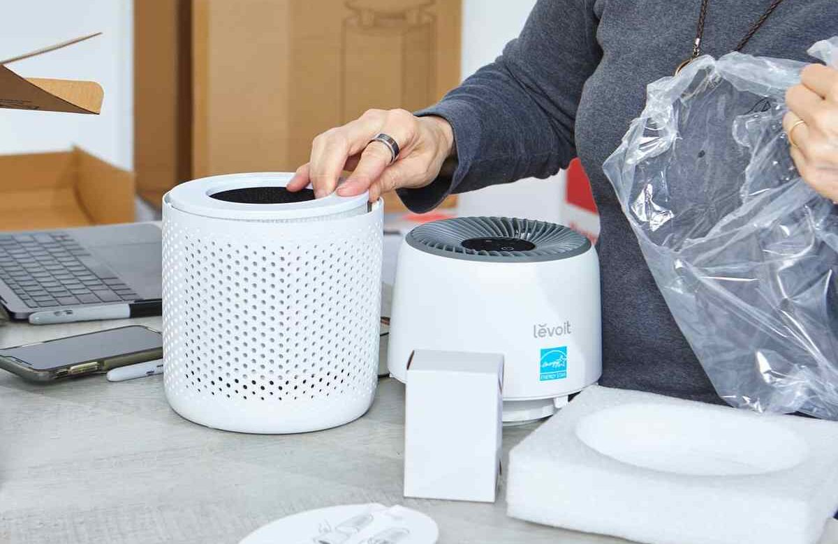 The Best Air Purifiers for Mold