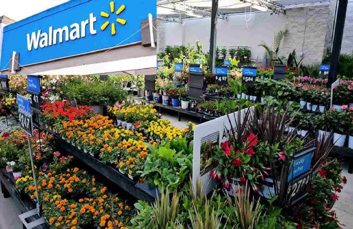 Best Garden Center in Walmart for Plants & Outdoor Supplies